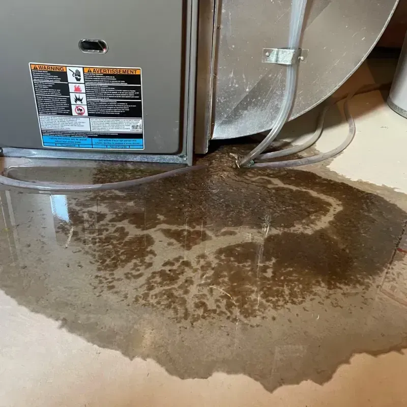 Appliance Leak Cleanup in Oakland City, IN